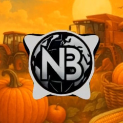 Petutschnig Hons - Erntezeit (Network Beatz Remix)