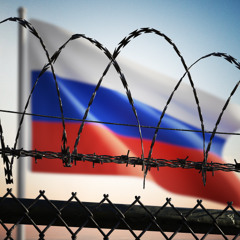 Russian Disinformation Infecting AI Models