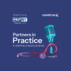 Navigating the vet practice start-up journey and best practice tips