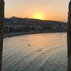 Lost Fish - Version beta