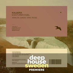 DHS Premiere:  Kaldera - Eissturmvogel  (Eric Rose Remix)