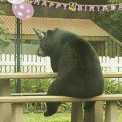 Tô bem [prod. YBShawty]