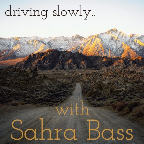 driving slowly.. with Sahra Bass