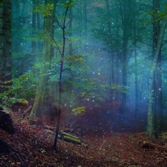 Sehiba - Down in the woods (Nightpsy Dj Set) (152Bpm)