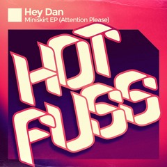 HEY DAN - MINISKIRT (RADIO EDIT)