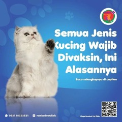 0817-273-670 Operasi Steril Anjing Jantan Tangerang Selatan, Rambad Vet Clinic