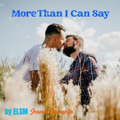 More Than I Can Say
