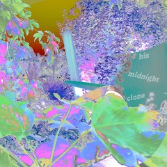 his midnight clone - - - with well
