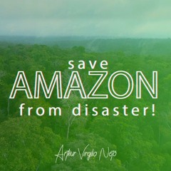 Salvemos a Amazônia do desastre
