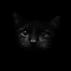 HAUNTED (last release ever)