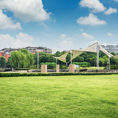 Green Spaces for Mental Wellness-Reachgreen