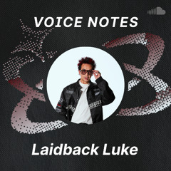 Voice Notes: Laidback Luke on "1000 BPM"