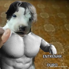 Porqué Caemos, Para Aprender A Levantarnos