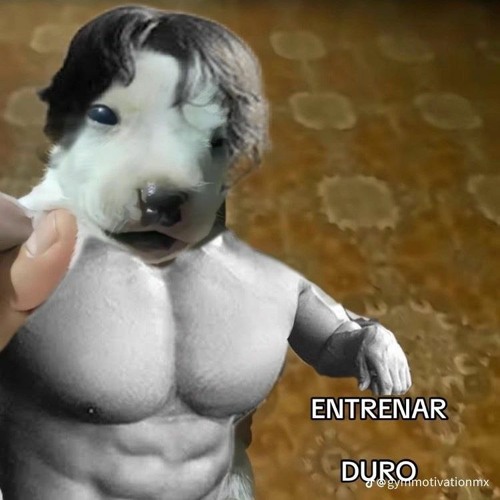 Sin Importar Su Rango