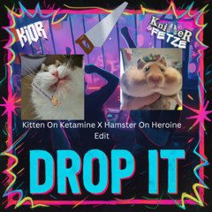 Knitter&Fetze, KIOR - Drop It (Kitten On Ketamine x Hamster On Heroine Edit)