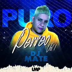 Dj Mate - Puro Perreo Vol. 1 (DIRTY) - @djmatewpb
