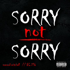 Sorry Not Sorry (ft BL216)