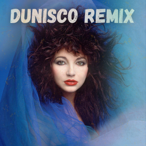 Running Up That Hill (Dunisco Remix)