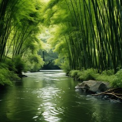 Relax your mind (Part 2)