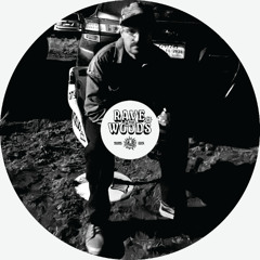 Rave in the Woods 2025 Set