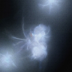 Stray_ - Chroma (Free Sequence)