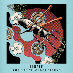 Bungle - Flashback (T3KTHE004)