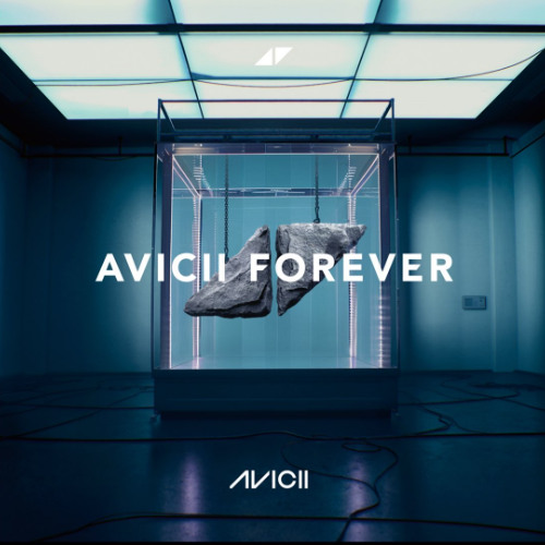 Avicii - Disarm (feat. Tayla Parx) COPL version