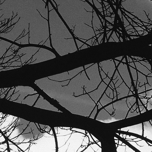 Hard Lessons * prod. Tsurreal x rossgossage [DEMO]