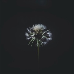 Feeling - 8