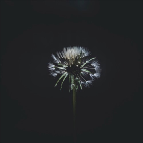 Feeling - 8