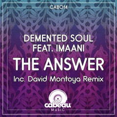 Destination's The Answer Mix