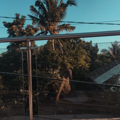 driver's license (acoustic cover) - znep