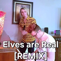 Elves are Real [Foreign Skies REMIX]