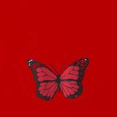 Butterfly (Austin Millz Remix)