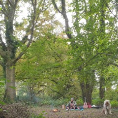 John Hodgson - Giant Trees - Rough mix 080322