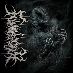 Taking The Shape Of Infinity