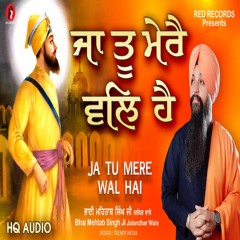Ja Tu Mere Wal Hai