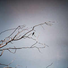 Vibrant Layers (mastered)