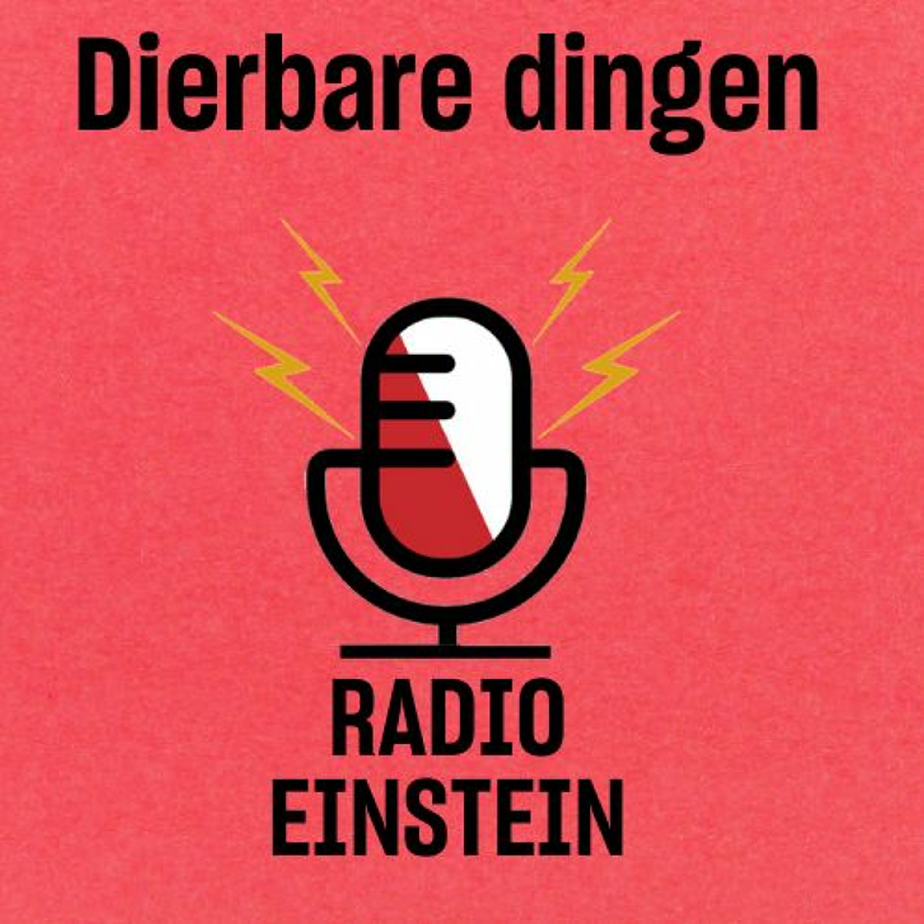 Radio Einstein