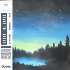 Lost In Reveries & Namté - Under The Stars (ft. Moosa Saleem)