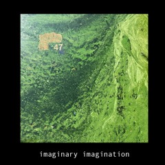imaginary imagination