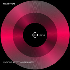 Josu Freire - Digging (Original Mix) [Momento Lab]