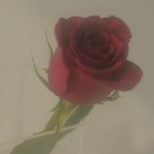 LA Priest - What Moves Remix