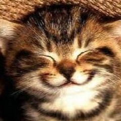 Feel Good Mix