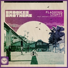 Flashing Lights (feat. ShezAr & Bossman Birdie)