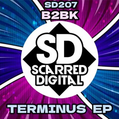 SD207 Terminus EP -  B2BK - Schrödinger's Box. Release 14/7/2022