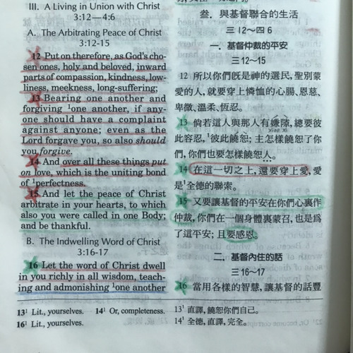 讓基督的平安在你們心裏作仲裁 | 哥羅西書 3:13-15 | 感谢主 | Melody by Zion (’23. 6)