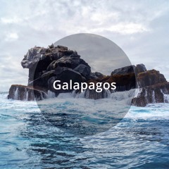 Flow Music Fridays - 01.14.22: Galapagos