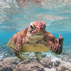 DJ TOÑA & STRINGS - TRANSMITTING VIA 111