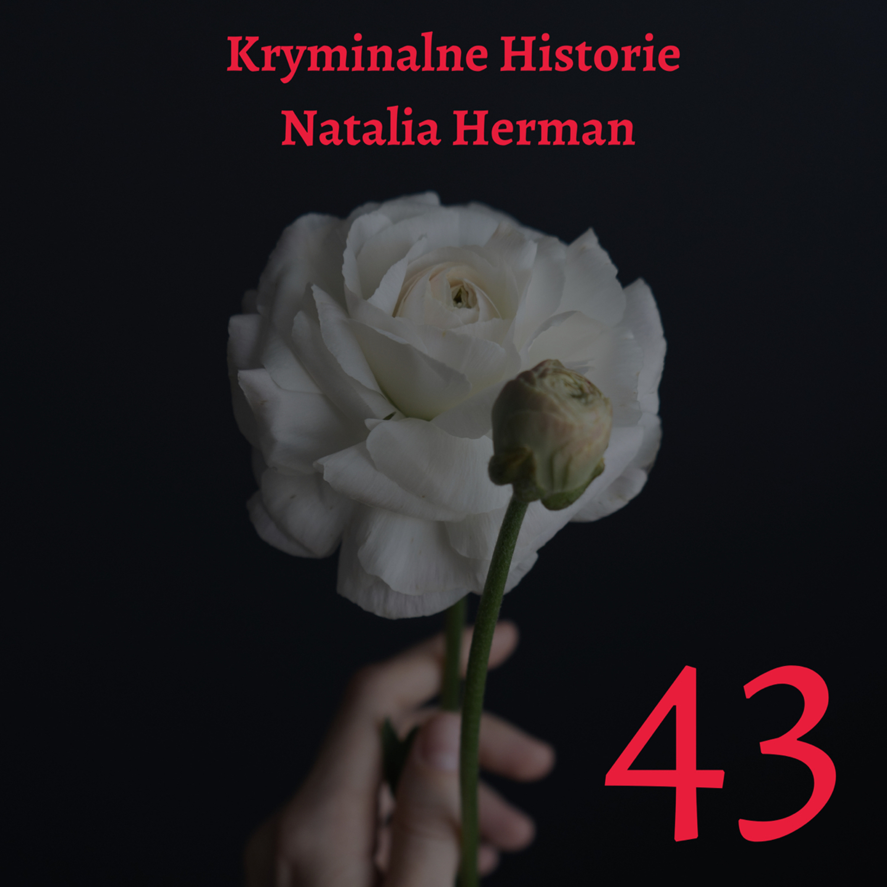 Natalia Herman Kryminalne Historie